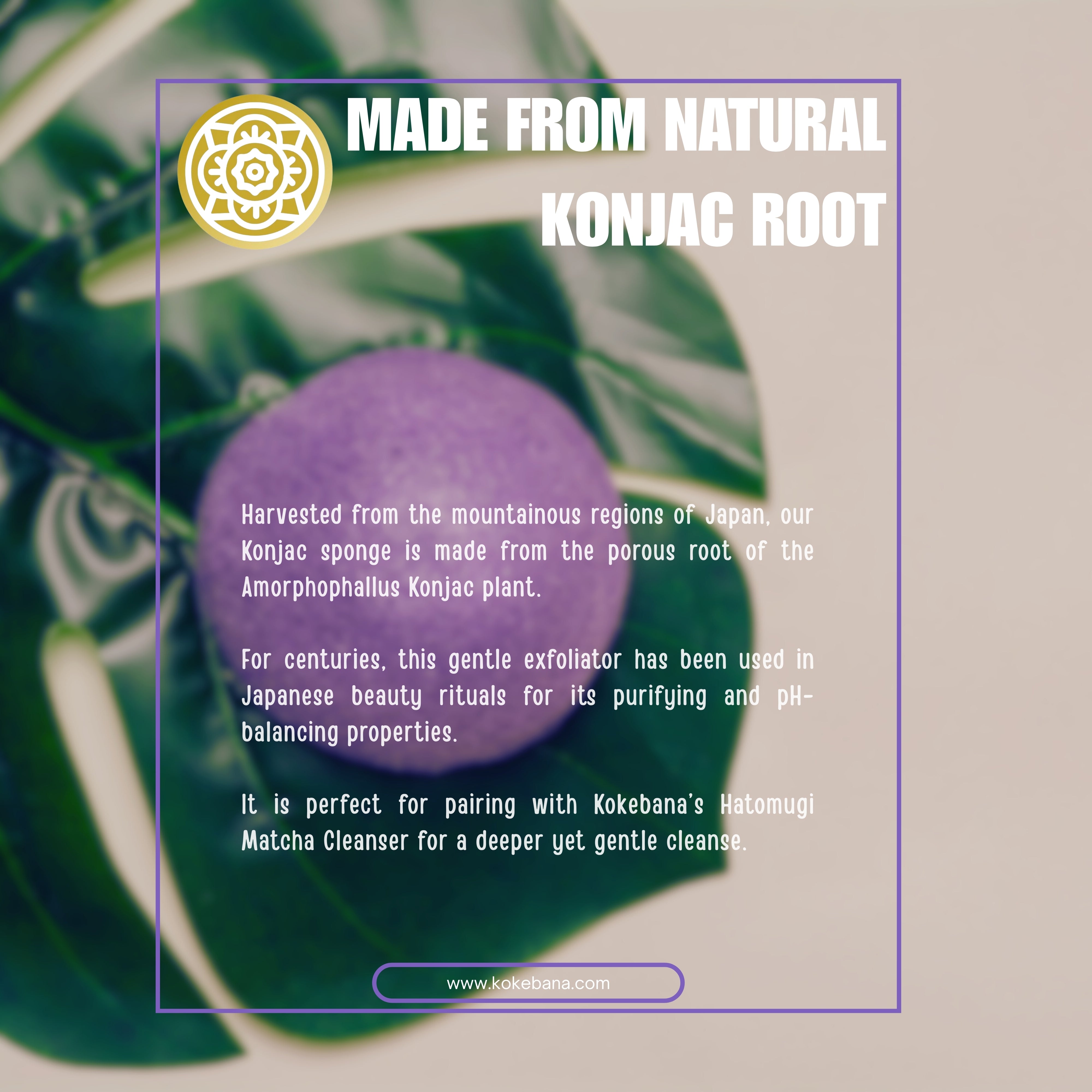 Konjac Facial Sponge