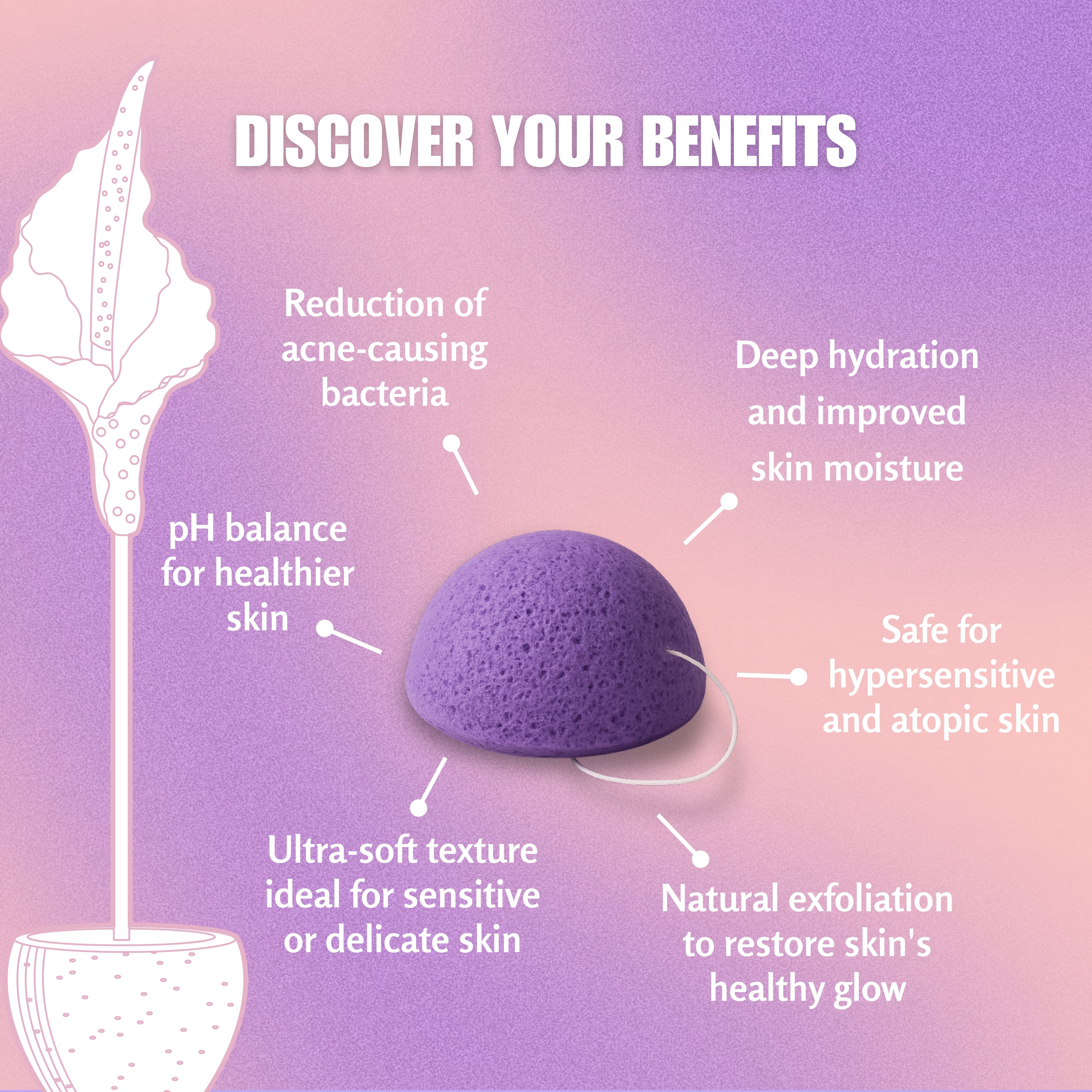 Konjac Facial Sponge