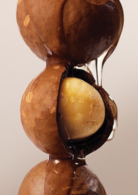 Macadamia Oil