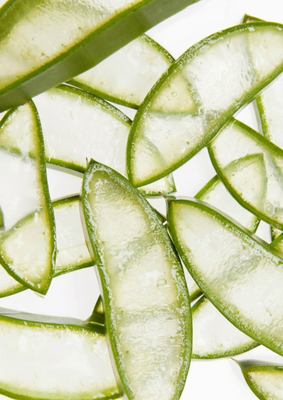 Aloe Vera Extract