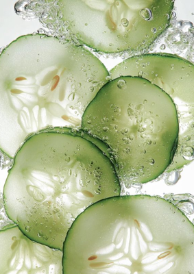 Cucumber Extract